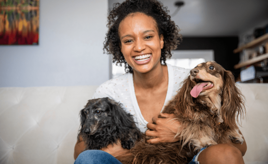 moving with dogs and cats